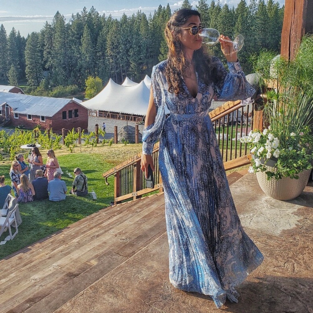 Alice + Olivia Blue and White Maxi Dress - Picture 5 of 9